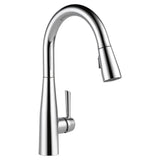 1-Handle Pull-Down Kitchen Faucet, Chrome R1F1 - product image 1