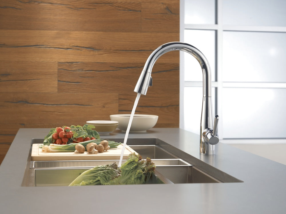 1-Handle Pull-Down Kitchen Faucet, Chrome R1F1 - product image 3