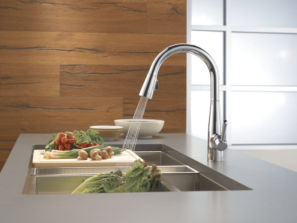 1-Handle Pull-Down Kitchen Faucet, Chrome R1F1 - product image 4